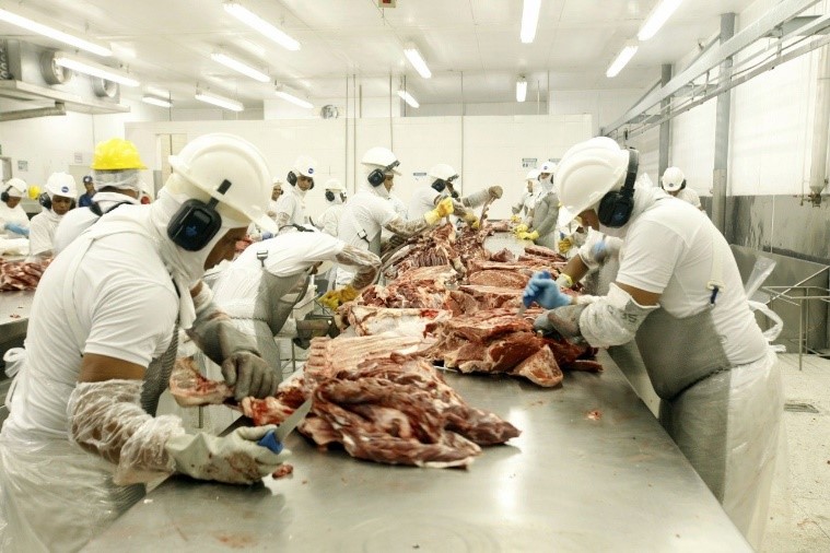 Arbeiter_innen zerlegen Tiere in einer Fleischfabrik.